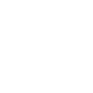 Bitpull Logo White 01