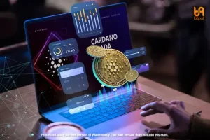 cardano blockchain platform with laptop 23 2150278285